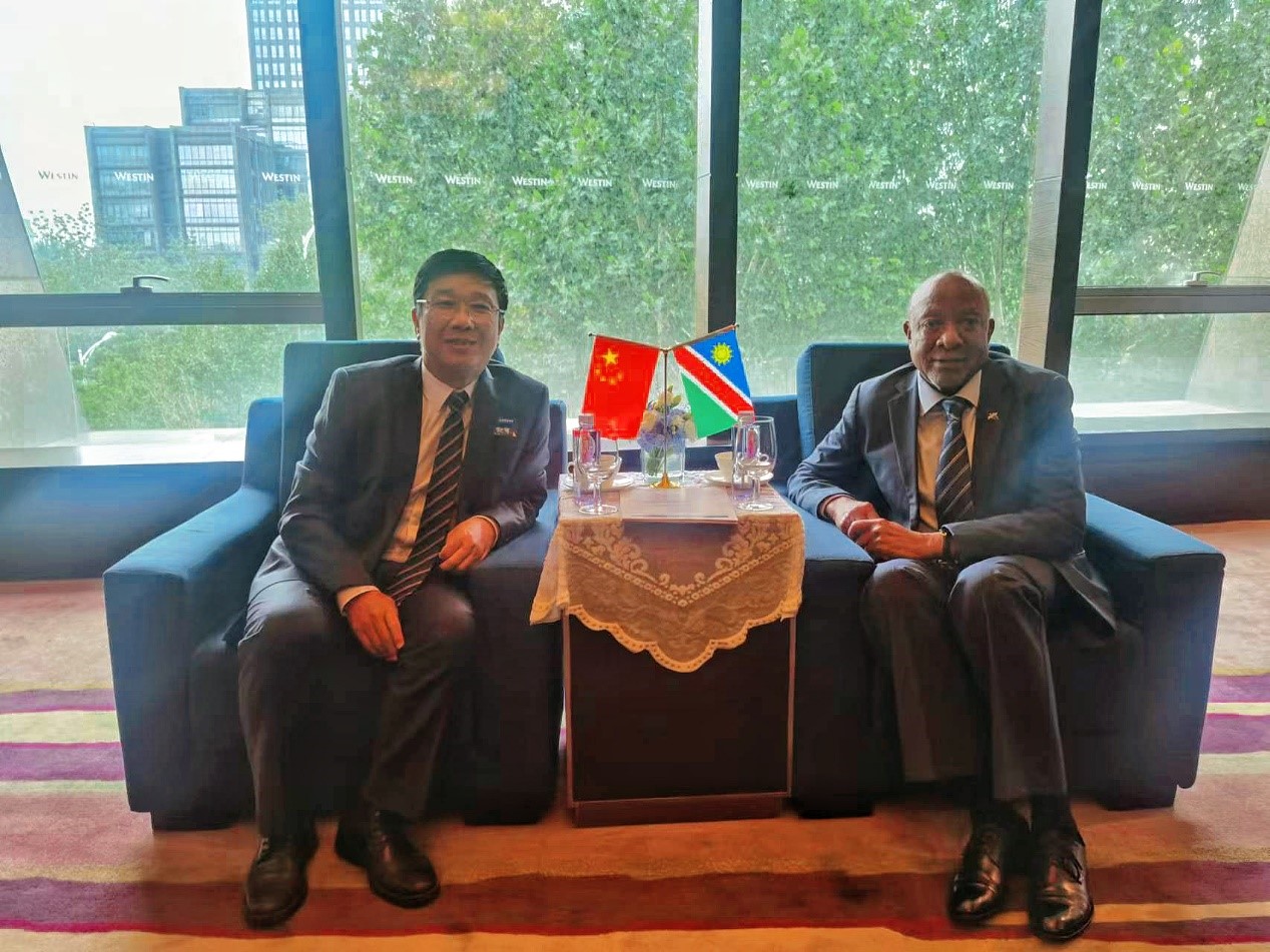 中非合作論壇期間樂天使資源 董事長王平衛拜會三國總統
